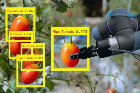 Autonomous Agriculture